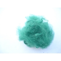 普通彩色二维（绿）