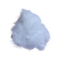 毛纺专用短纤维（白普 ）