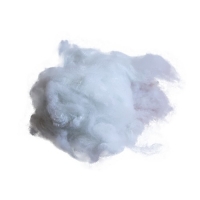 普通涤纶短纤维（白）